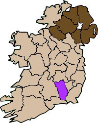 County Kilkenny Flag